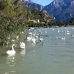 Adeline Bed and Breakfast Dascio