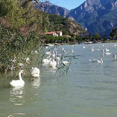 Adeline Bed & Breakfast Dascio