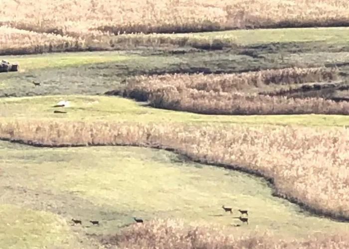 Adeline לינה וארוחת בוקר 3*