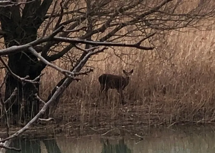 Bed & Breakfast Adeline 3*