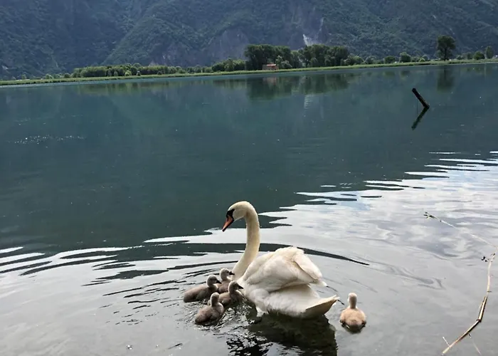 Adeline Bed and breakfast Dascio