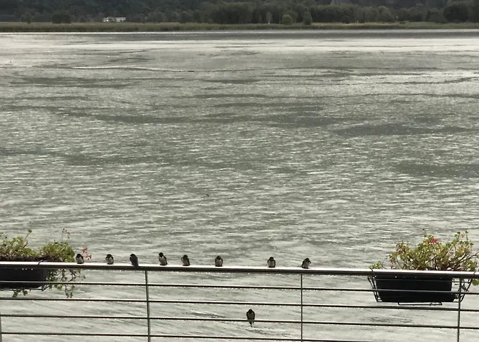 Adeline Отель типа 