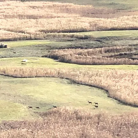 Adeline לינה וארוחת בוקר 3*