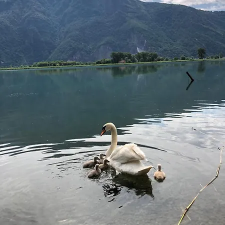 Adeline לינה וארוחת בוקר Dascio