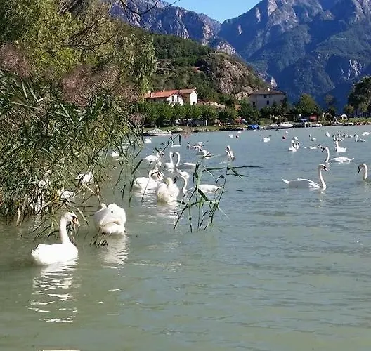 Adeline Bed and Breakfast Dascio