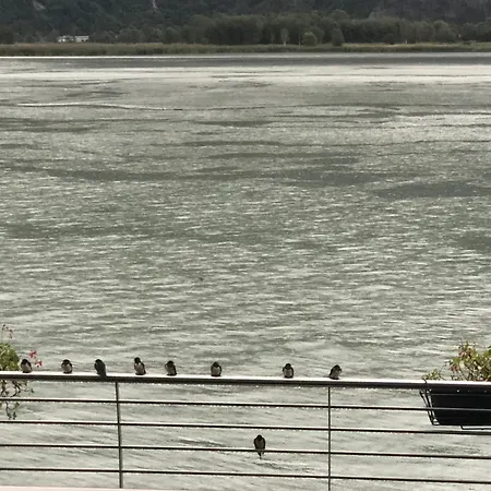 Adeline Отель типа 